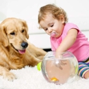 Chem-Dry - Carpet & Rug Cleaners