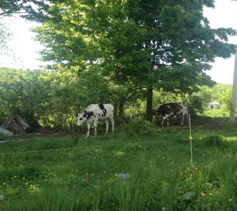 Sugarbush Farm - Woodstock, VT