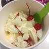 YogurtLand gallery