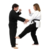 Alpine & Santee Karate Schools gallery