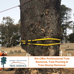 Snowy Mountains Tree Service Pty Limited - Cooma, NSW. We Offer Professional Tree Removal, Tree Pruning & Tree Stump Removal