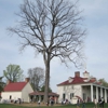 George Washington's Mount Vernon gallery