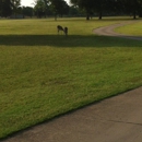 Landa Park Golf Course at Comal Springs - Golf Courses