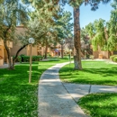 Country Villa Apartments - Apartments