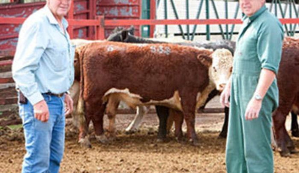 Allora Veterinary Clinic - Allora, QLD