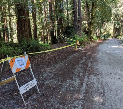 Forest of Nisene Marks State Park - Aptos, CA