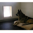 Sittin Dogs - Pet Boarding & Kennels