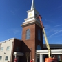 Fish Window Cleaning