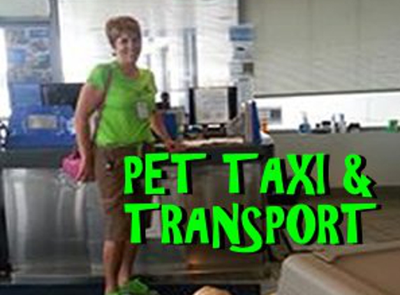 AirVets Pet Relocation - Dallas, TX