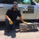 Critter Gitter Wildlife Removal - Pest Control Services