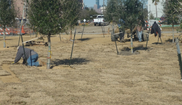 Adi Landscaping & Tree Service - Houston, TX