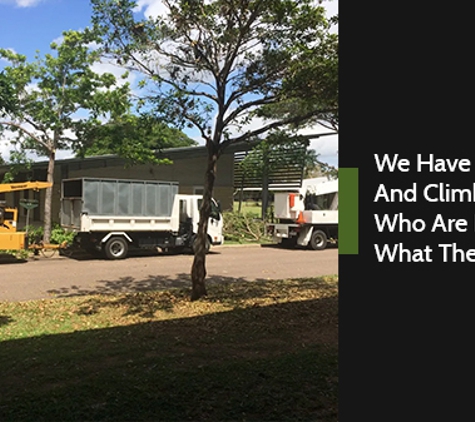 Yard By Yard - Oonoonba, QLD. We Have An EWP And Climbers Who Are Expert At What They Do