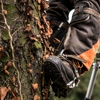 Best Value Tree Service gallery