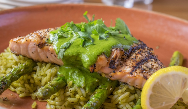 Cantina Laredo - Houston, TX. Salmon