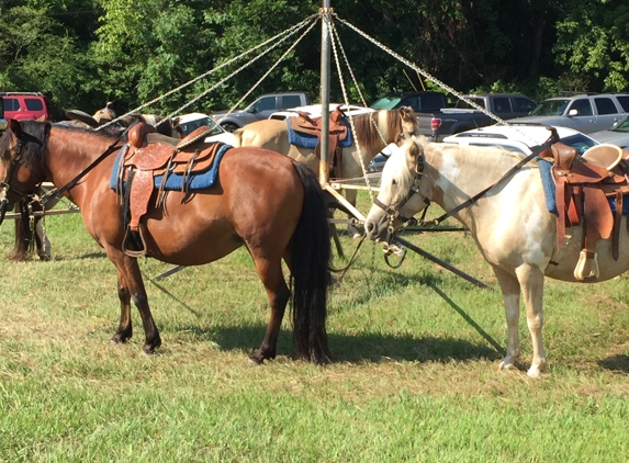 Pet Parties Plus - Grayson, GA. Hand led or Pony Carousel Rides