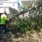 Peppers Tree Service