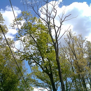 Cut & Go Tree Care - stroudsburg, PA