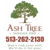 Ash Tree Service Pro llc gallery