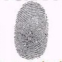 Landmark Fingerprinting