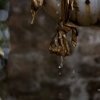AllPro Plumbing & Drain Services gallery