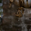 AllPro Plumbing & Drain Services - Plumbers