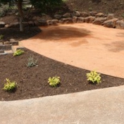 Gallery Image Number 2