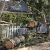Brown's Tree Care gallery