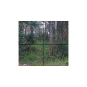 Gallery Image Number 8