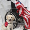 Patriot Service Dogs gallery
