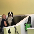 Salty Dog Wash - Pet Grooming