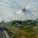 Quality Auto Glass - Windshield Repair