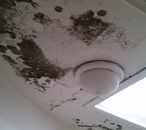 Western Suburbs Cleaning - Westlake, QLD