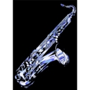 Elswick Band Instrument Repair - Musical Instrument Supplies & Accessories