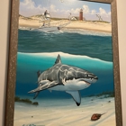 AWSC Shark Center Chatham