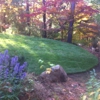 Mow Dog Landscaping Co gallery