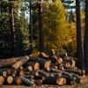 Hershberger Logging gallery