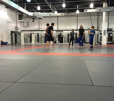 Renzo Gracie Fight Academy - Brooklyn, NY