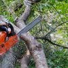 Chop & Chip Tree Service gallery