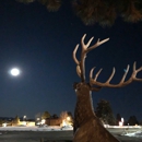 The Buck Stops Here Market & Eatery - Meat Processing