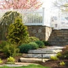 Bolton Tree & Landscaping Inc gallery