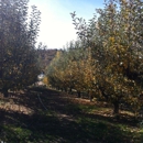 Apple Lane Orchard - Orchards