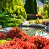 A Landscaping gallery