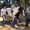 Aspire Therapeutic Horseback Riding gallery