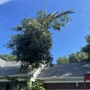 Lucas Tree Care - Tree Service