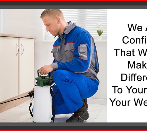 Insects-r-gon Pest Control - Geilston Bay, TAS. We Are Confident That We Can Make A Difference To Your Life & Your Wellbeing