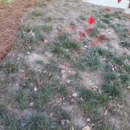 Terra Green Landscapes - Landscaping Equipment & Supplies