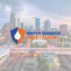 The Water Damage Pros-Tampa