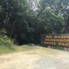 Big Basin Redwoods State Park gallery