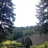 Casselman River Bridge State Park gallery