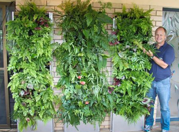 Heatons Wholesale Fern And Anthurium Nursery - Perwillowen, QLD